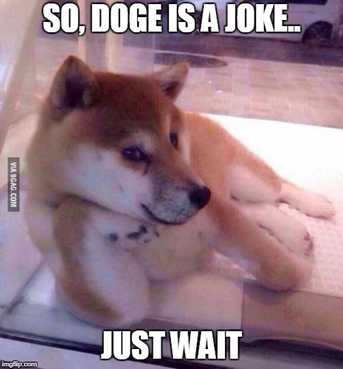 Flirting Doge | SO, DOGE IS A JOKE.. JUST WAIT | image tagged in flirting doge | made w/ Imgflip meme maker