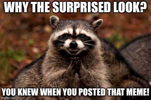 Evil Plotting Raccoon | WHY THE SURPRISED LOOK? YOU KNEW WHEN YOU POSTED THAT MEME! | image tagged in memes,evil plotting raccoon | made w/ Imgflip meme maker