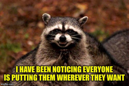 Evil Plotting Raccoon Meme | I HAVE BEEN NOTICING EVERYONE IS PUTTING THEM WHEREVER THEY WANT | image tagged in memes,evil plotting raccoon | made w/ Imgflip meme maker