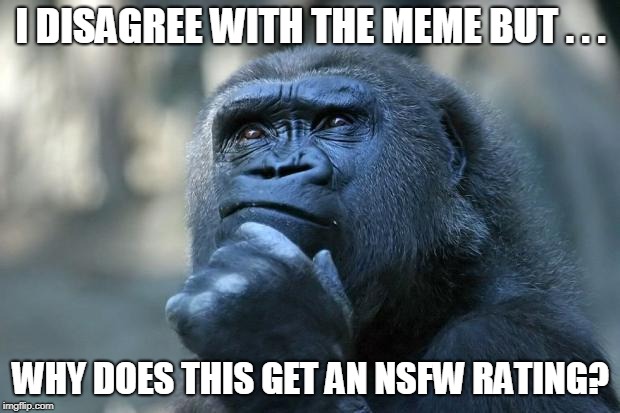 Deep Thoughts | I DISAGREE WITH THE MEME BUT . . . WHY DOES THIS GET AN NSFW RATING? | image tagged in thinking gorilla | made w/ Imgflip meme maker