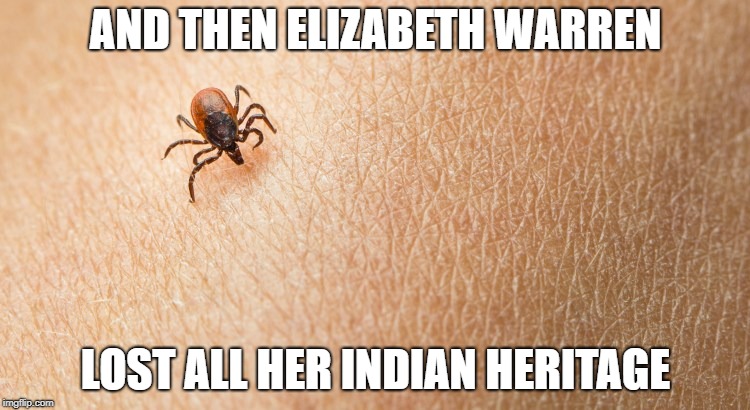 AND THEN ELIZABETH WARREN; LOST ALL HER INDIAN HERITAGE | image tagged in tick,elizabeth warren,blood,native american,indian | made w/ Imgflip meme maker