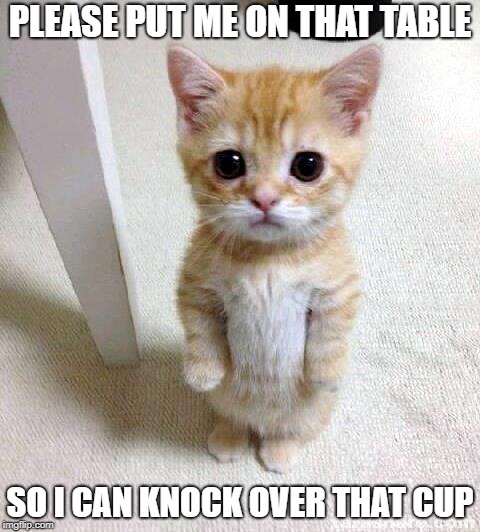 Cute Cat | PLEASE PUT ME ON THAT TABLE; SO I CAN KNOCK OVER THAT CUP | image tagged in memes,cute cat | made w/ Imgflip meme maker