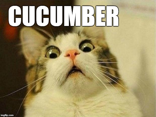 green alert! | CUCUMBER | image tagged in memes,scared cat,cucumber | made w/ Imgflip meme maker