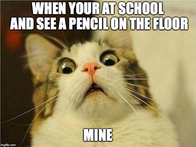 Suprised Cat | WHEN YOUR AT SCHOOL AND SEE A PENCIL ON THE FLOOR; MINE | image tagged in suprised cat | made w/ Imgflip meme maker