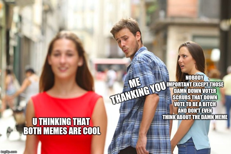 Distracted Boyfriend Meme | U THINKING THAT BOTH MEMES ARE COOL ME THANKING YOU NOBODY IMPORTANT EXCEPT THOSE DAMN DOWN VOTER SCRUBS THAT DOWN VOTE TO BE A B**CH AND DO | image tagged in memes,distracted boyfriend | made w/ Imgflip meme maker