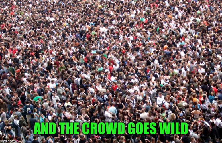 crowd of people | AND THE CROWD GOES WILD | image tagged in crowd of people | made w/ Imgflip meme maker