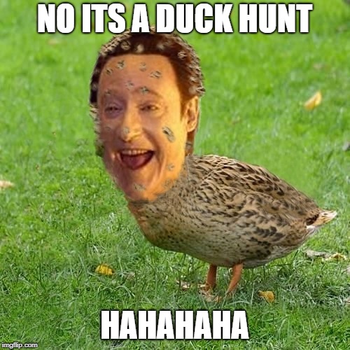 The Data Duck | NO ITS A DUCK HUNT; HAHAHAHA | image tagged in the data duck | made w/ Imgflip meme maker