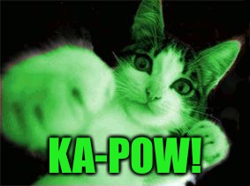 RayCat Fighting Hackers | KA-POW! | image tagged in raycat fighting hackers | made w/ Imgflip meme maker