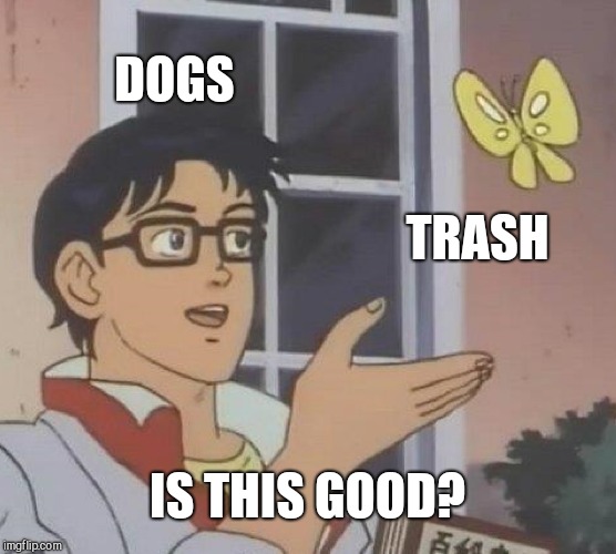 Dogs thoughts on trash | DOGS; TRASH; IS THIS GOOD? | image tagged in memes,is this a pigeon | made w/ Imgflip meme maker