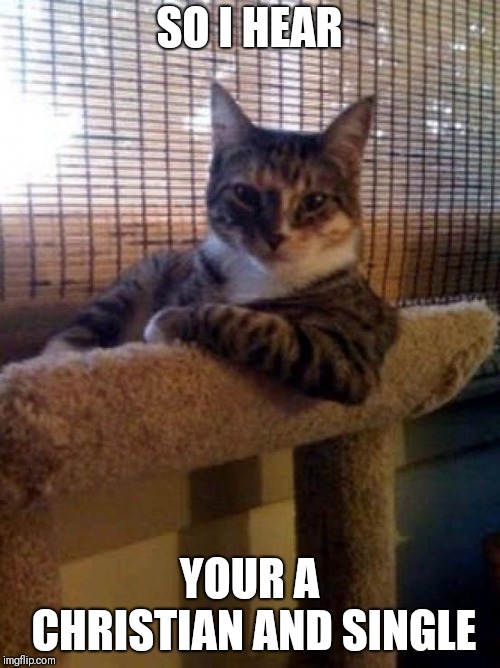 The Most Interesting Cat In The World Meme | SO I HEAR; YOUR A CHRISTIAN AND SINGLE | image tagged in memes,the most interesting cat in the world | made w/ Imgflip meme maker