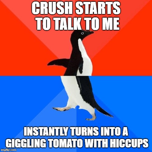 Socially awesome to socially awkward penguin | CRUSH STARTS TO TALK TO ME; INSTANTLY TURNS INTO A GIGGLING TOMATO WITH HICCUPS | image tagged in socially awesome to socially awkward penguin | made w/ Imgflip meme maker