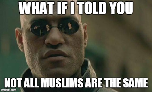 Matrix Morpheus | WHAT IF I TOLD YOU; NOT ALL MUSLIMS ARE THE SAME | image tagged in memes,matrix morpheus,islam,muslim,muslims,same | made w/ Imgflip meme maker