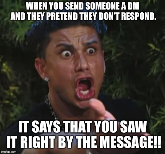 DJ Pauly D Meme | WHEN YOU SEND SOMEONE A DM AND THEY PRETEND THEY DON’T RESPOND. IT SAYS THAT YOU SAW IT RIGHT BY THE MESSAGE!! | image tagged in memes,dj pauly d | made w/ Imgflip meme maker