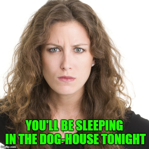 Angry woman | YOU'LL BE SLEEPING IN THE DOG-HOUSE TONIGHT | image tagged in angry woman | made w/ Imgflip meme maker
