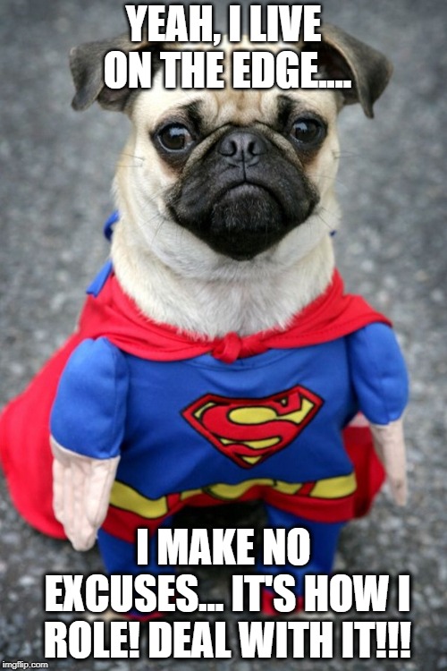 MR. ATTITUDE  | YEAH, I LIVE ON THE EDGE.... I MAKE NO EXCUSES... IT'S HOW I ROLE! DEAL WITH IT!!! | image tagged in hay dere pretty lady super pug is here to save you with derpyne,funny dog memes,strongman,edgy | made w/ Imgflip meme maker