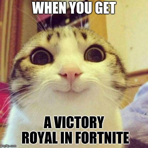 Smiling Cat Meme |  WHEN YOU GET; A VICTORY ROYAL IN FORTNITE | image tagged in memes,smiling cat | made w/ Imgflip meme maker