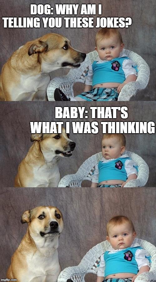 When the baby upsets you |  DOG: WHY AM I TELLING YOU THESE JOKES? BABY: THAT'S WHAT I WAS THINKING | image tagged in memes,dad joke dog,funny | made w/ Imgflip meme maker