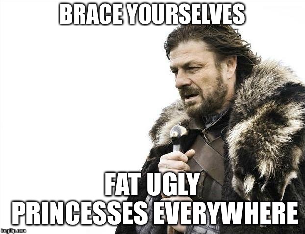 Brace Yourselves X is Coming Meme | BRACE YOURSELVES FAT UGLY PRINCESSES EVERYWHERE | image tagged in memes,brace yourselves x is coming | made w/ Imgflip meme maker