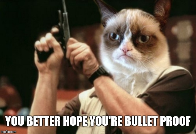 Grumpy cat | YOU BETTER HOPE YOU'RE BULLET PROOF | image tagged in grumpy cat | made w/ Imgflip meme maker