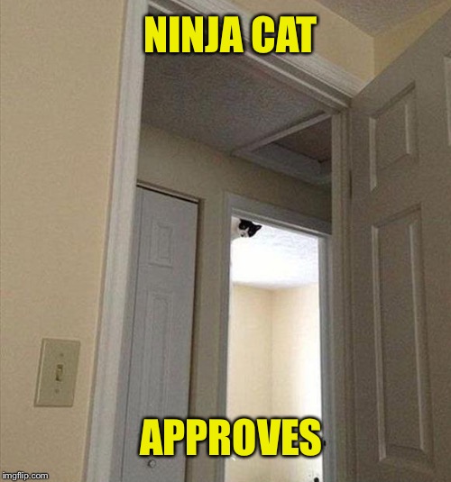 NINJA CAT APPROVES | made w/ Imgflip meme maker