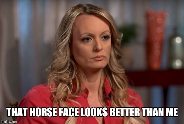 stormy daniels | THAT HORSE FACE LOOKS BETTER THAN ME | image tagged in stormy daniels | made w/ Imgflip meme maker