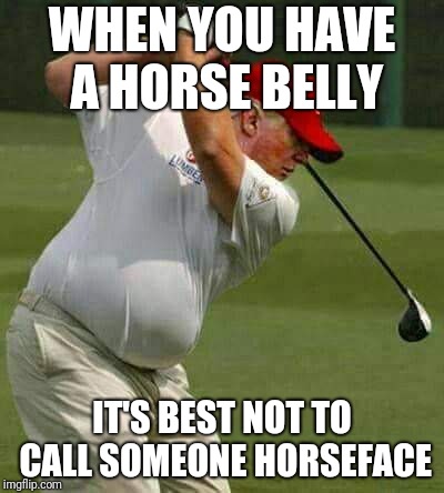 Trump's Impeachment  | WHEN YOU HAVE A HORSE BELLY; IT'S BEST NOT TO CALL SOMEONE HORSEFACE | image tagged in stormy daniels | made w/ Imgflip meme maker
