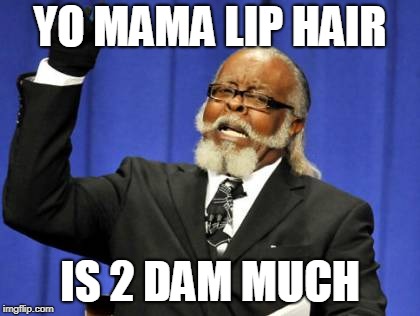 Too Damn High | YO MAMA LIP HAIR; IS 2 DAM MUCH | image tagged in memes,too damn high | made w/ Imgflip meme maker