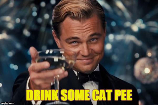 Leonardo Dicaprio Cheers | DRINK SOME CAT PEE | image tagged in memes,leonardo dicaprio cheers | made w/ Imgflip meme maker