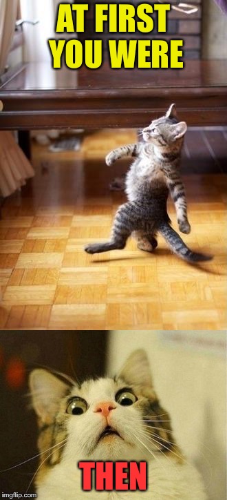 AT FIRST YOU WERE THEN | made w/ Imgflip meme maker