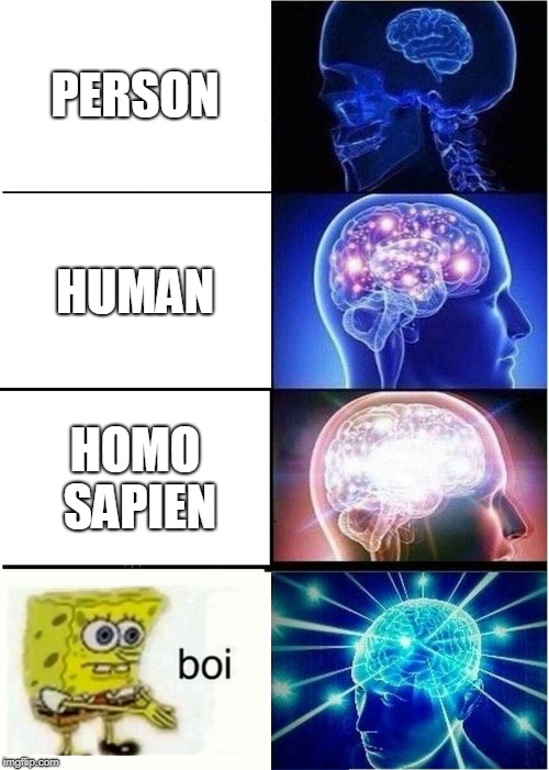 Expanding Brain Meme | PERSON; HUMAN; HOMO SAPIEN | image tagged in memes,expanding brain | made w/ Imgflip meme maker