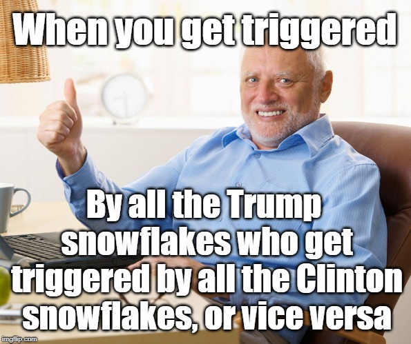 Hide From Politics Harold | When you get triggered; By all the Trump snowflakes who get triggered by all the Clinton snowflakes, or vice versa | image tagged in hide the pain harold,politics,donald trump,hillary clinton,triggered,outrage | made w/ Imgflip meme maker