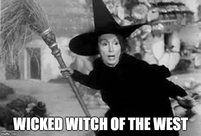 Nancy Pelosi | WICKED WITCH OF THE WEST | image tagged in witch,wicked witch | made w/ Imgflip meme maker