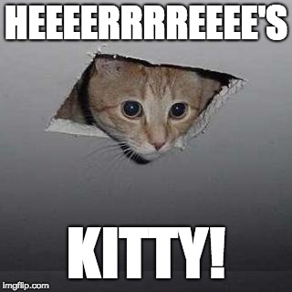 Ceiling Cat |  HEEEERRRREEEE'S; KITTY! | image tagged in memes,ceiling cat,here's johnny | made w/ Imgflip meme maker