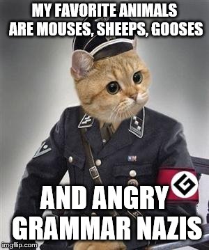 Grammar Nazi Cat | MY FAVORITE ANIMALS ARE MOUSES, SHEEPS, GOOSES; AND ANGRY GRAMMAR NAZIS | image tagged in grammar nazi cat | made w/ Imgflip meme maker