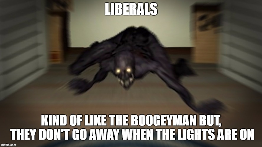 True story | LIBERALS; KIND OF LIKE THE BOOGEYMAN BUT, THEY DON'T GO AWAY WHEN THE LIGHTS ARE ON | image tagged in liberals,boogeyman,politics,random | made w/ Imgflip meme maker