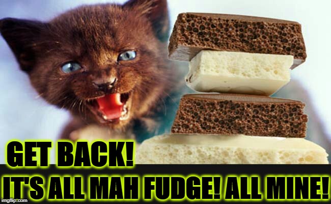 GET BACK! IT'S ALL MAH FUDGE! ALL MINE! | image tagged in mine | made w/ Imgflip meme maker