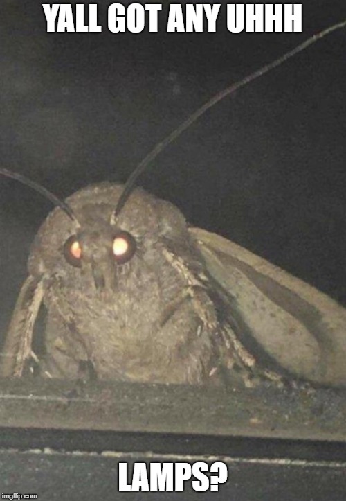 Moth | YALL GOT ANY UHHH LAMPS? | image tagged in moth | made w/ Imgflip meme maker