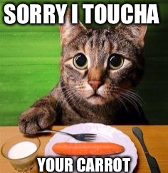 SORRY I TOUCHA YOUR CARROT | made w/ Imgflip meme maker