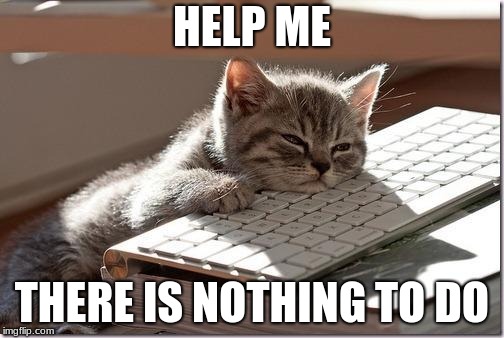 Bored Keyboard Cat | HELP ME; THERE IS NOTHING TO DO | image tagged in bored keyboard cat | made w/ Imgflip meme maker
