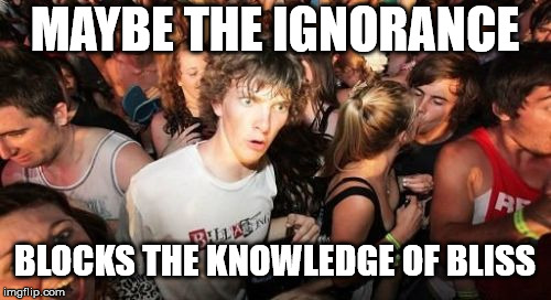 Sudden Clarity Clarence Meme | MAYBE THE IGNORANCE BLOCKS THE KNOWLEDGE OF BLISS | image tagged in memes,sudden clarity clarence | made w/ Imgflip meme maker