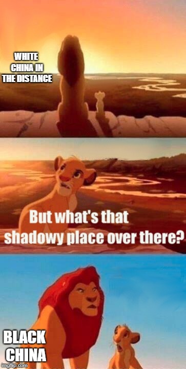 When you try to show your kids life | WHITE CHINA IN THE DISTANCE; BLACK CHINA | image tagged in memes,simba shadowy place | made w/ Imgflip meme maker