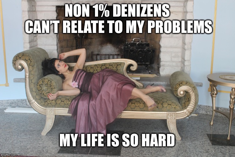 1% girl | NON 1% DENIZENS CAN’T RELATE TO MY PROBLEMS; MY LIFE IS SO HARD | image tagged in 1 girl | made w/ Imgflip meme maker