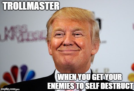 Donald trump approves | TROLLMASTER; WHEN YOU GET YOUR ENEMIES TO SELF DESTRUCT | image tagged in donald trump approves | made w/ Imgflip meme maker