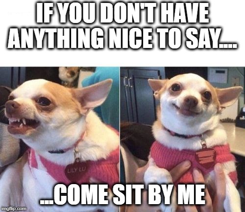 GOSSIP GIRL | IF YOU DON'T HAVE ANYTHING NICE TO SAY.... ...COME SIT BY ME | image tagged in angry chihuahua happy chihuahua,gossip,funny dogs,rumors | made w/ Imgflip meme maker