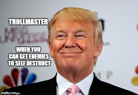 Donald trump approves | TROLLMASTER; WHEN YOU CAN
GET ENEMIES 
TO SELF DESTRUCT | image tagged in donald trump approves | made w/ Imgflip meme maker