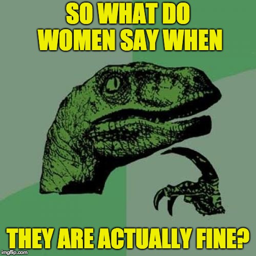 Philosoraptor Meme | SO WHAT DO WOMEN SAY WHEN; THEY ARE ACTUALLY FINE? | image tagged in memes,philosoraptor | made w/ Imgflip meme maker