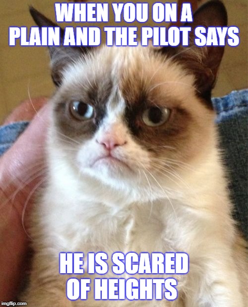 Grumpy Cat | WHEN YOU ON A PLAIN AND THE PILOT SAYS; HE IS SCARED OF HEIGHTS | image tagged in memes,grumpy cat | made w/ Imgflip meme maker