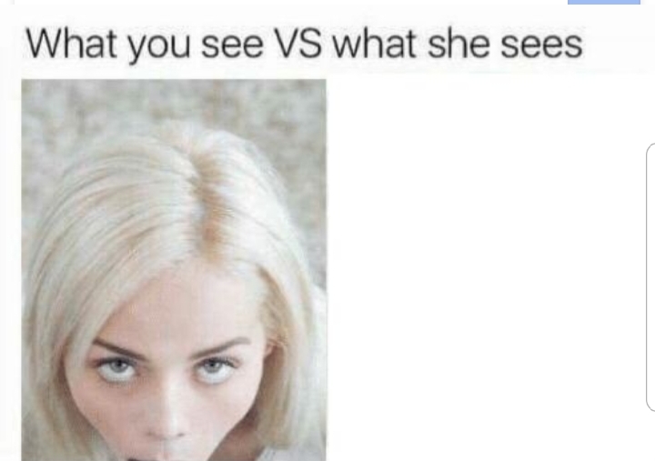 What you see VS what she sees Blank Template Imgflip