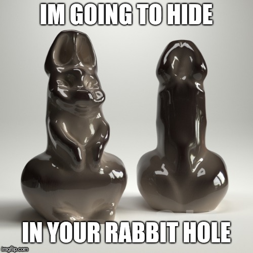  IM GOING TO HIDE; IN YOUR RABBIT HOLE | image tagged in easter bunny | made w/ Imgflip meme maker
