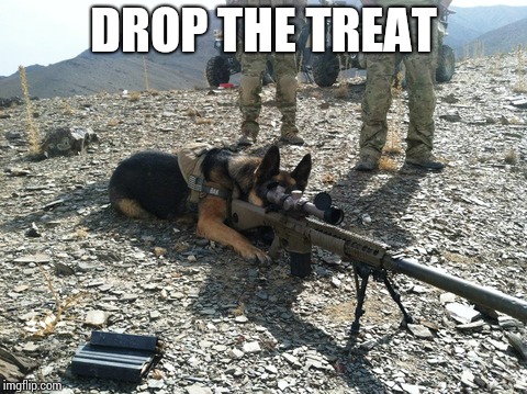 DROP THE TREAT | made w/ Imgflip meme maker